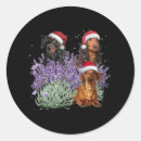 Search for christmas dachshund stickers Wiener dog