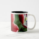 Search for attractive mugs Colourful