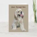 Search for cocker spaniel cards Dogs