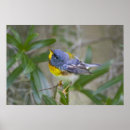 Search for larry ditto posters Usa