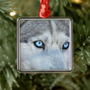 Search for siberian husky christmas tree decorations Blue eyes