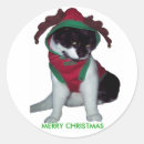 Search for merry christmas cat stickers Humour