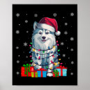 Search for american eskimo dog art Ya filthy animal