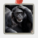 Search for gorilla christmas tree decorations Animal