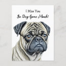 Search for i miss you postcards Dog