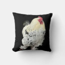 Search for cockerel cushions Colourful