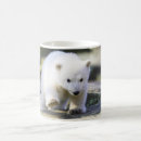 Search for polar bear cub mugs Cute