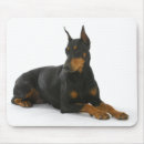 Search for dobermans mousepads Puppy