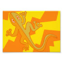 Search for fire lizard Amphibian