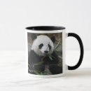 Search for giant bear mugs Cute