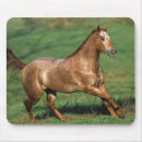 Search for grassy mousepads Bob langrish
