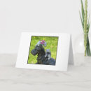 Search for scotty dog westie cards Scotties