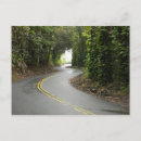 Search for winding postcards Tree