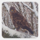 Search for snowy stickers Wildlife