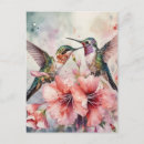 Search for hum postcards Bird