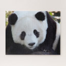 Search for panda puzzles Black and white