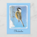 Search for feeders postcards Bird