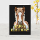 Search for foal birthday cards Animal