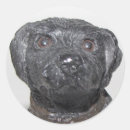 Search for cool dog stickers Black