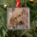 Search for goldendoodle christmas tree decorations Animal