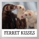 Search for ferret posters Friends