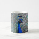 Search for peacock design mugs Animal