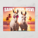 Search for wild donkeys postcards Funny