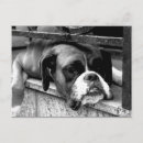 Search for pc postcards White