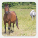 Search for countryside stickers Pasture