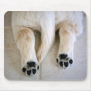 Search for dog butt mousepads Puppy