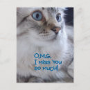 Search for omg postcards Cat