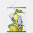 Search for lemon botanical art Lemons