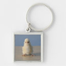 Search for baby chicken key rings New life