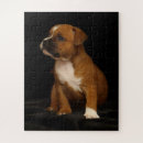 Search for bull terrier puzzles Pet