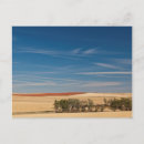 Search for prairie postcards America