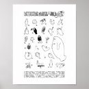 Search for manatee posters Mammal