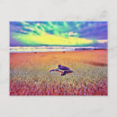 Search for turtle painting postcards Reptile