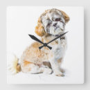 Search for shih tzu clocks Shitzu