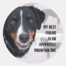 Search for mountain dog stickers Animals