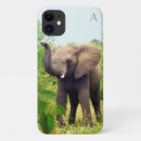 Search for tropical forest cases Wildlife