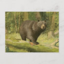 Search for tree trunk postcards Nature