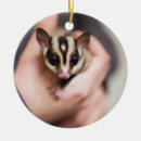 Search for sugar glider christmas tree decorations Suggie