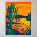 Search for saguaro national park posters Sunset