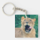 Search for roaring key rings Lion