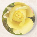 Search for green rose coasters Pretty