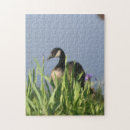 Search for goose puzzles Bird