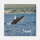 Search for hawaii souvenir magnets Maui