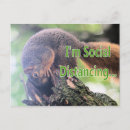 Search for comical rodents postcards Squirrel