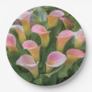 Search for 55th anniversary plates Celebration