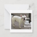Search for frenchie note cards Cute